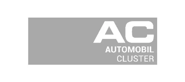 Automobil Cluster